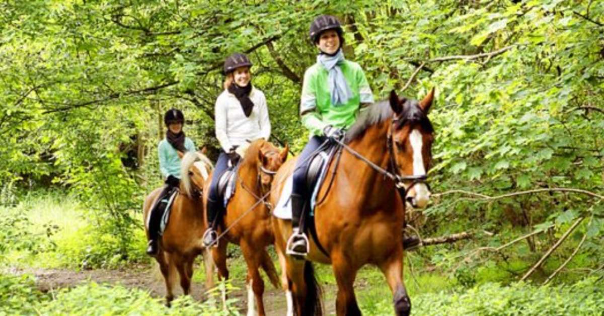 Een foto van Center Parcs Het Heijderbos