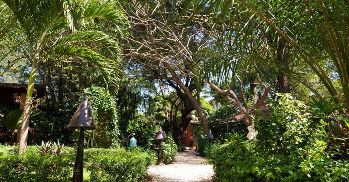Een foto van de buitenkant van Ngala Lodge