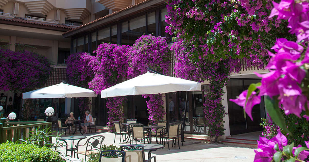 Een foto van het terras bij Bellis Deluxe Hotel