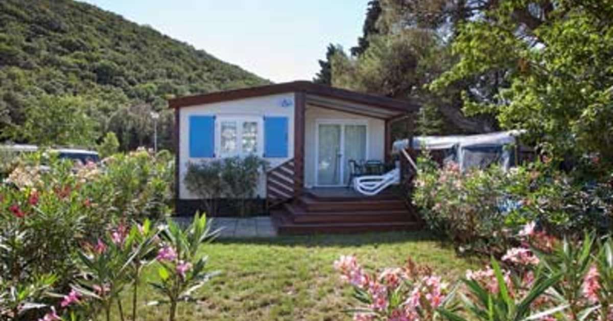 Een foto van Camping Oliva