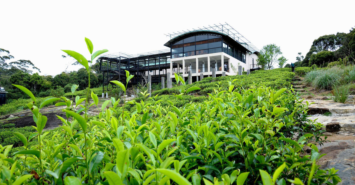 Een foto van Rainforest Eco Lodge