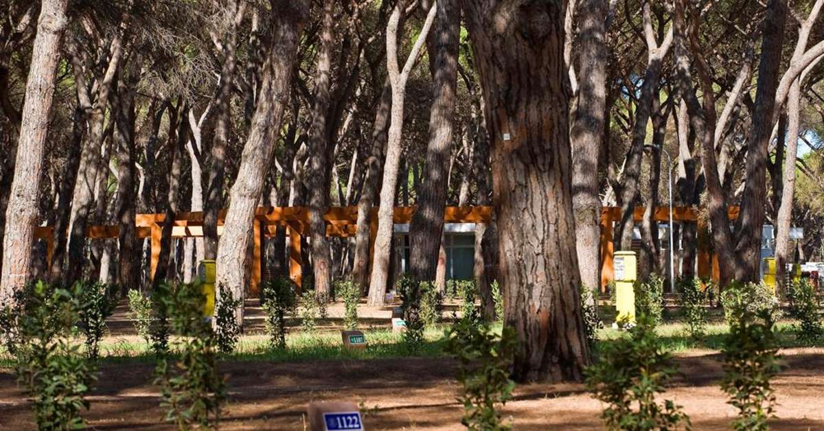 Een foto van Campingpark Roma Capitol