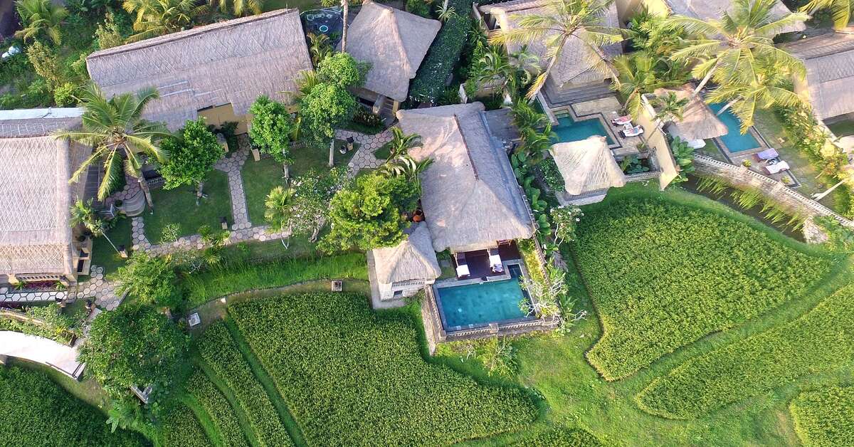Een foto van Wapa di Ume