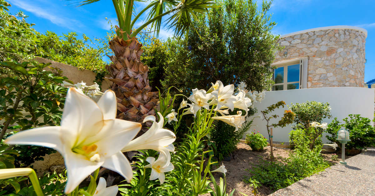 Een foto van Hotel Mathios Village