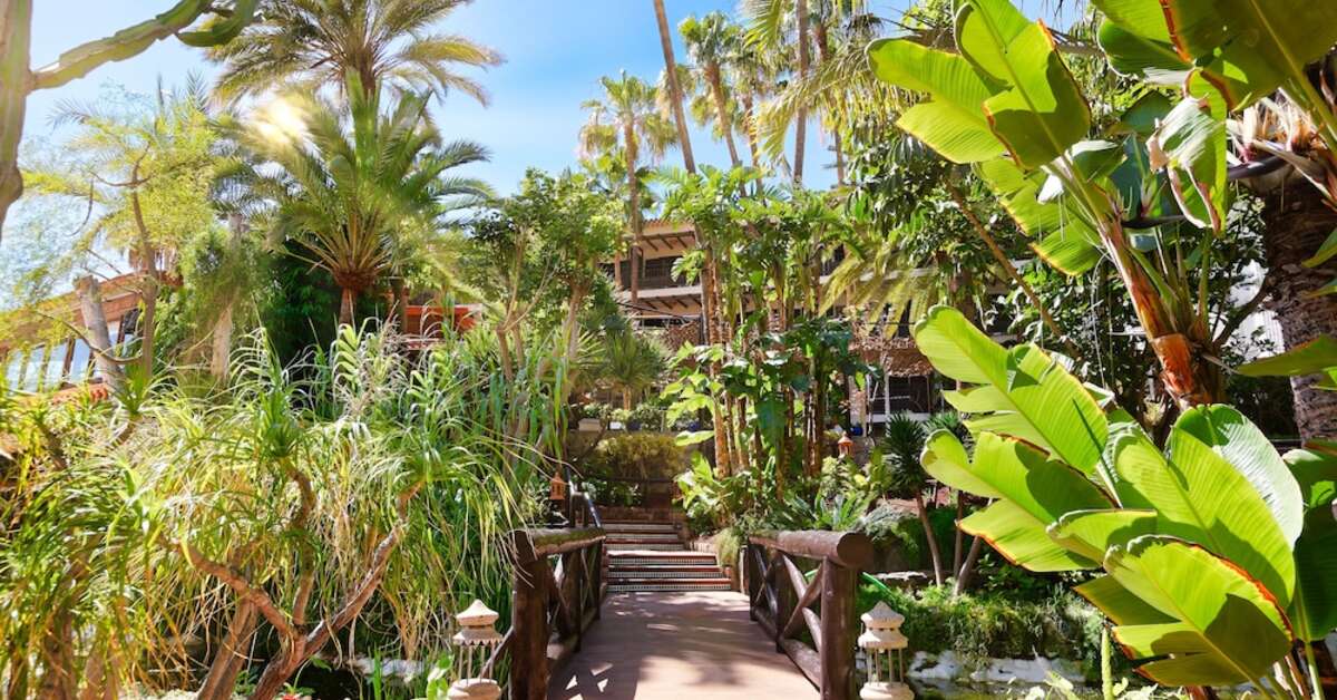 Ein Foto von der Terrasse im Hotel Parque Tropical
