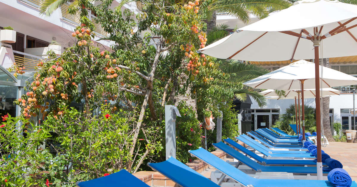 Een foto van het zwembad bij Allsun Hotel Cristobal Colon