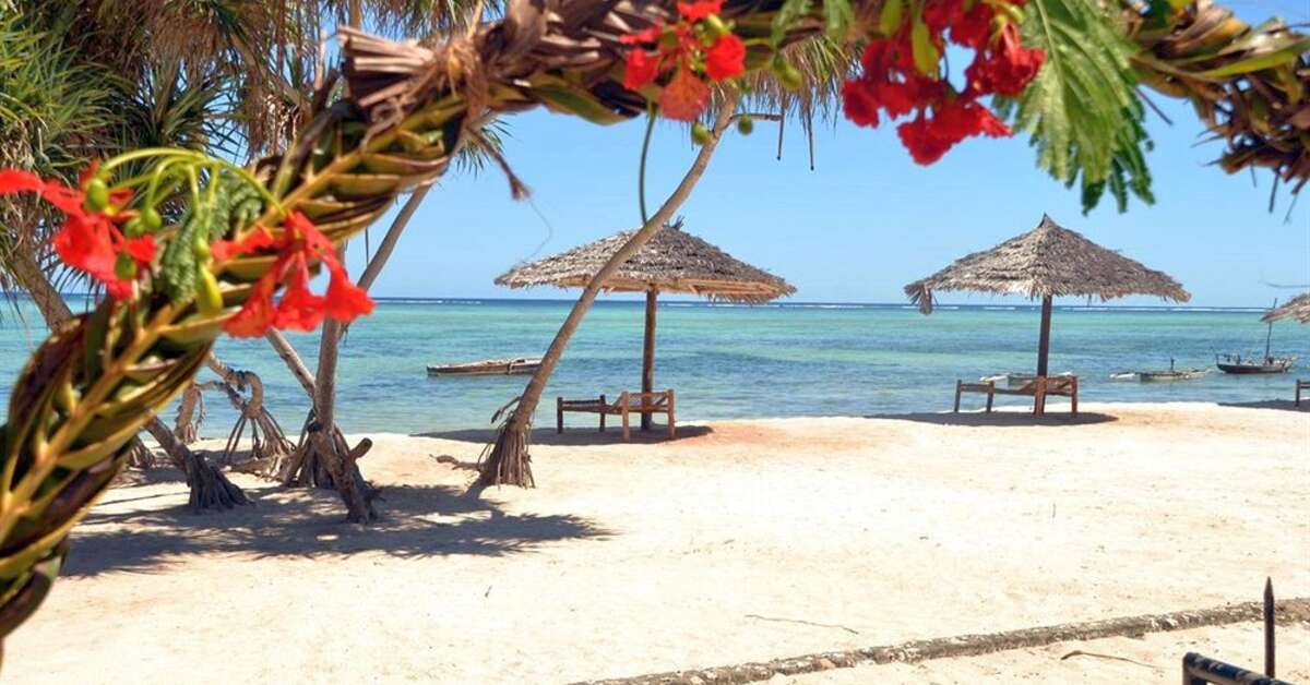 Een foto van Nest Style Beach Hotel Zanzibar