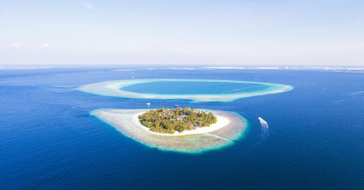 Een foto van Malahini Kuda Bandos