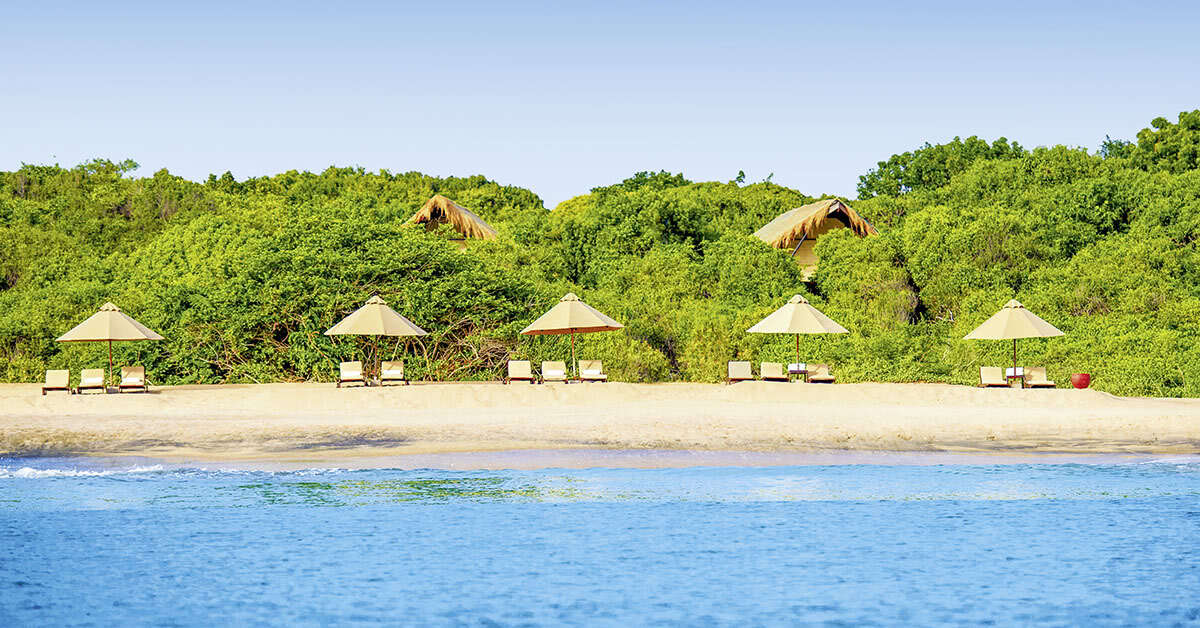 Een foto van Jungle Beach Resort