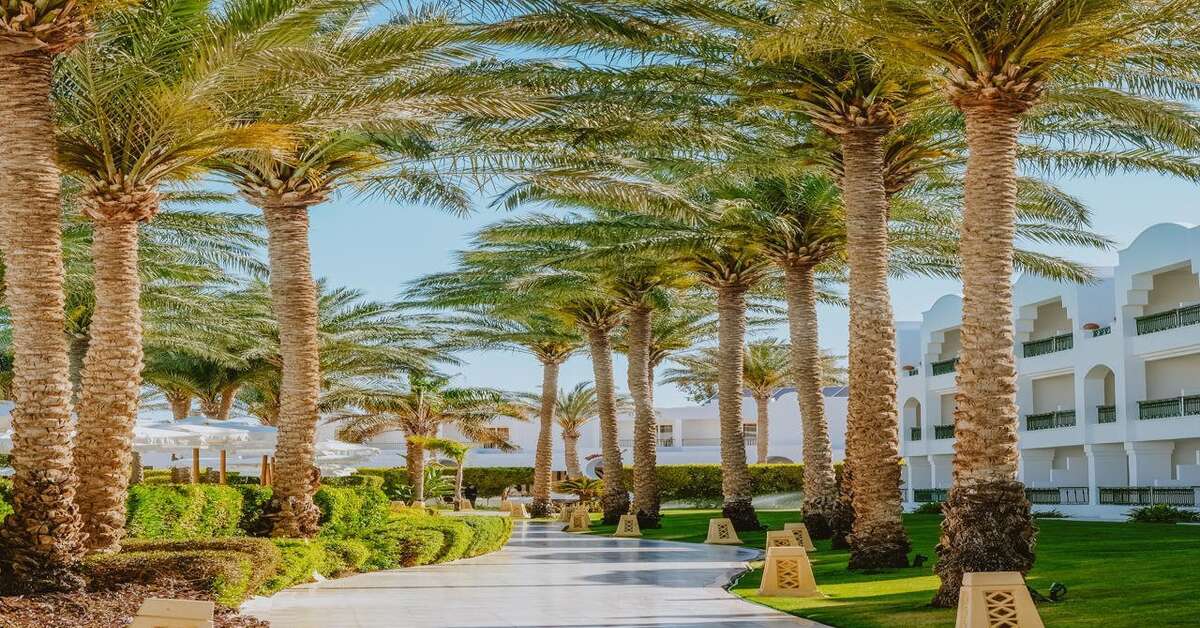 Een foto van Baron Palms Resort