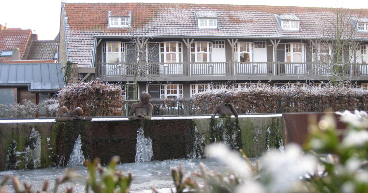 Een foto van Hotel Montanus
