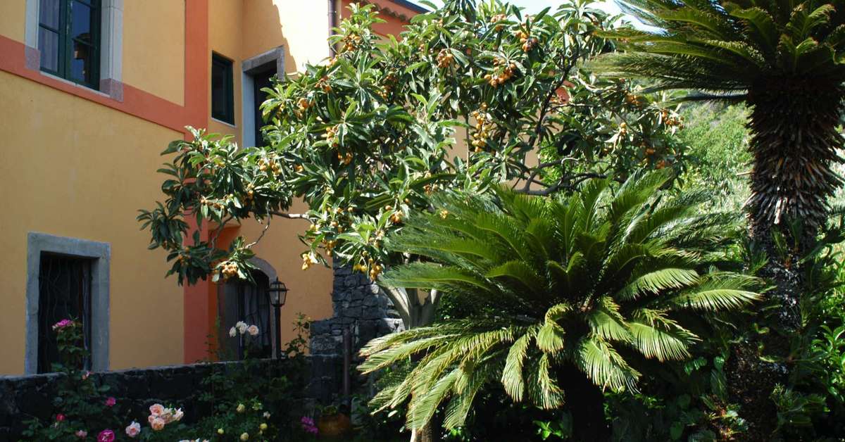 Een foto van Casale Romano Resort