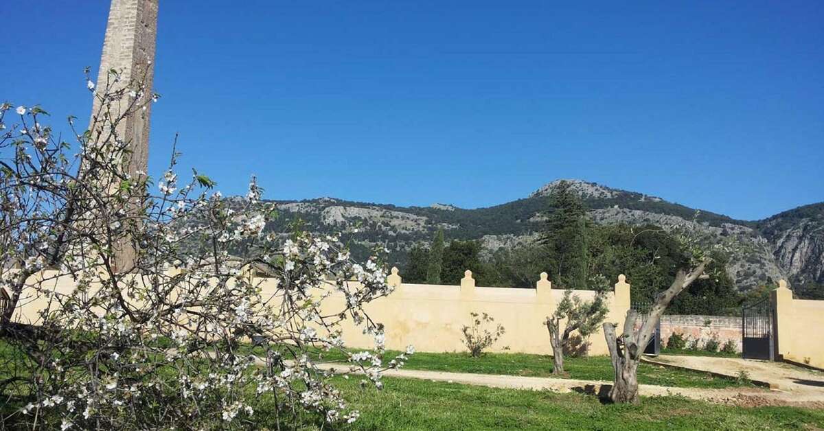 Een foto van Villa Lampedusa Hotel & Residence
