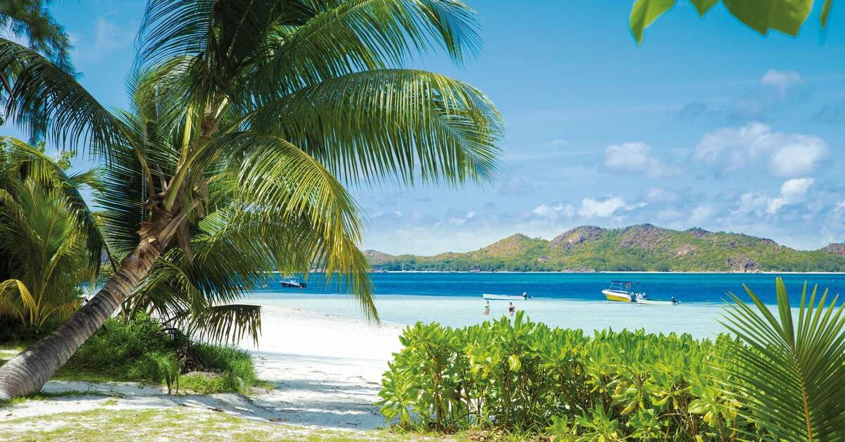 Een foto van het strand bij Indian Ocean Lodge
