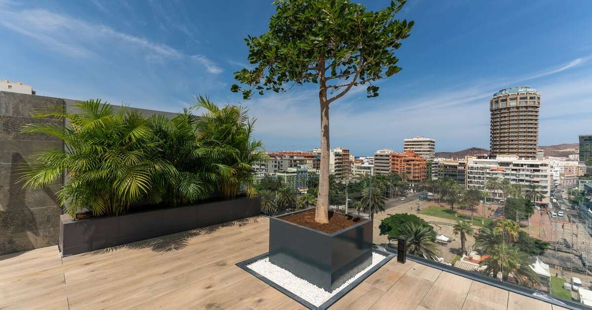 Ein Foto von der Terrasse im Hotel Livvo Lumm