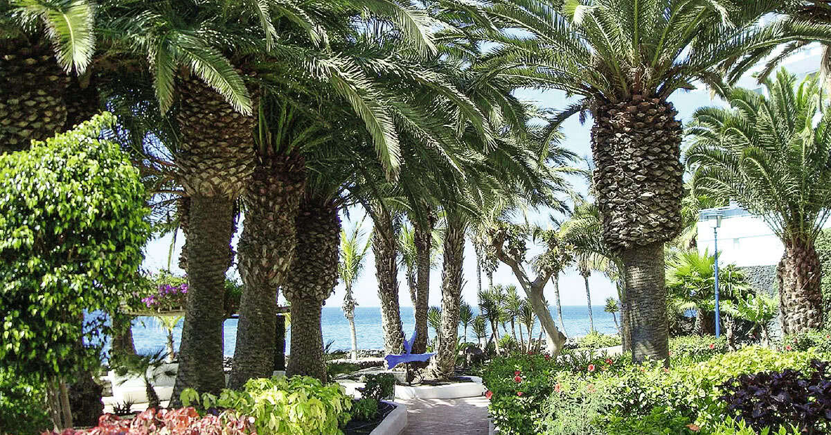 Een foto van het terras bij VIK Hotel San Antonio