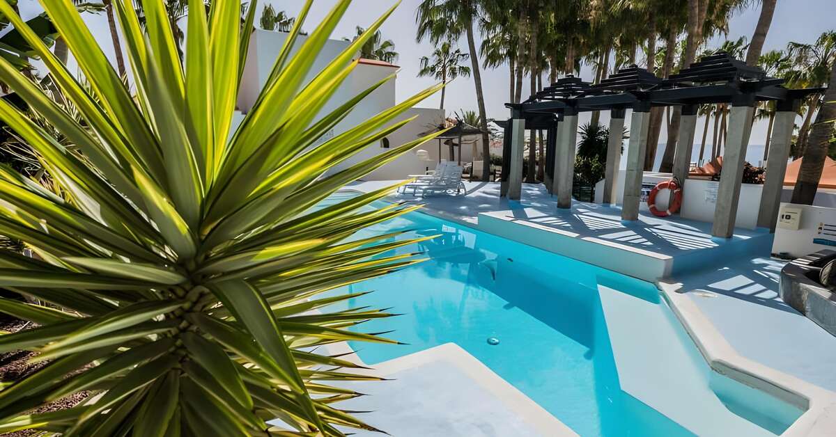 Een foto van Bahia Calma Beach