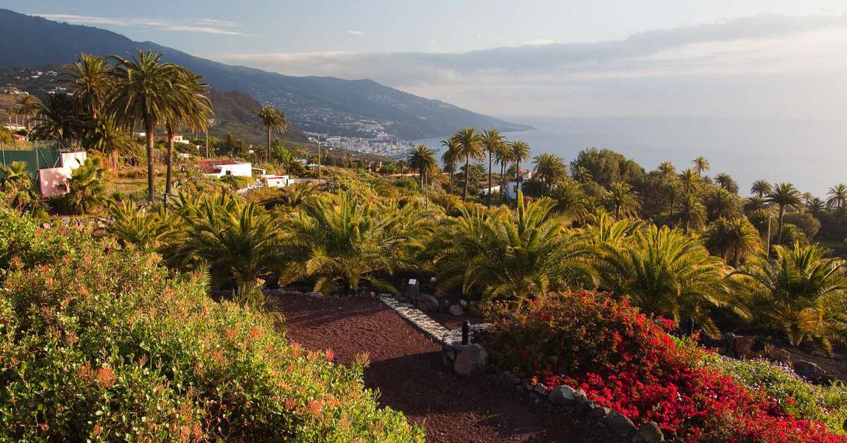 Een foto van het terras bij Parador de La Palma