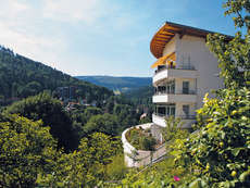Een foto van Schwarzwald Panorama Hotel