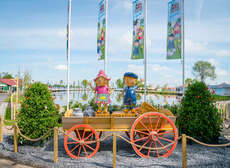 Een foto van Vakantiepark Molenwaard