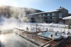 Een foto van de faciliteiten bij Levi Hotel Spa