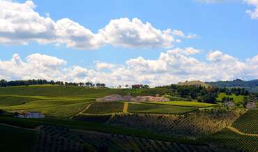 Borgo Conde Wine Resort