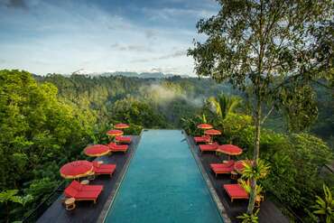 Buahan A Banyan Tree Escape