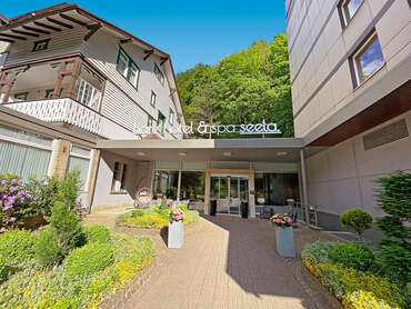 Harz Hotel & Spa Seela