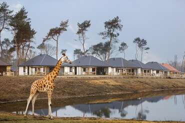 Safari Resort Beekse Bergen