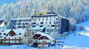 Hotel Alpina