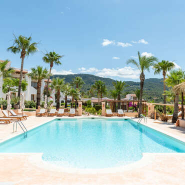 Petunia Ibiza