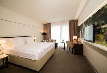 Hotel Konig Albert