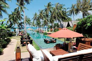 Kupu Kupu Phangan