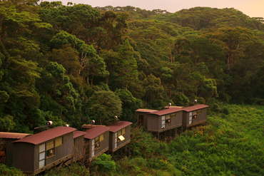 Rainforest Eco Lodge