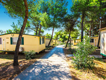 Arena Indije Campsite