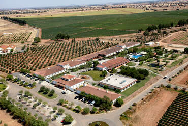 Vila Gale Alentejo Vineyards