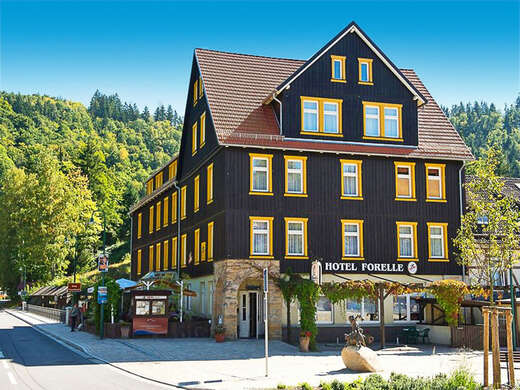 Ferienhotel Forelle