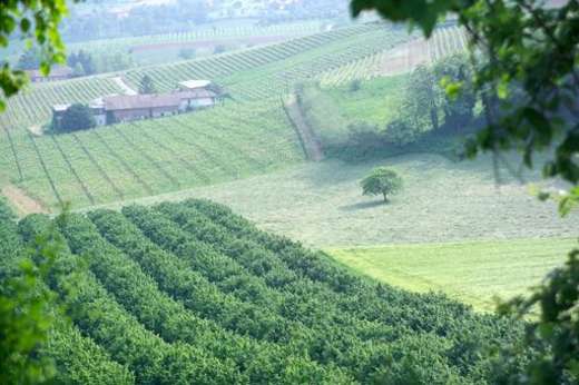 Een foto van de buitenkant van Agriturismo La Quercia Rossa