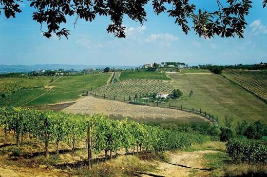 Een foto van Agriturismo Poderi Arcangelo
