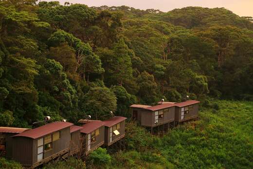 Rainforest Eco Lodge