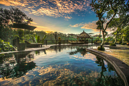 Een foto van Nandini Jungle Resort & Spa