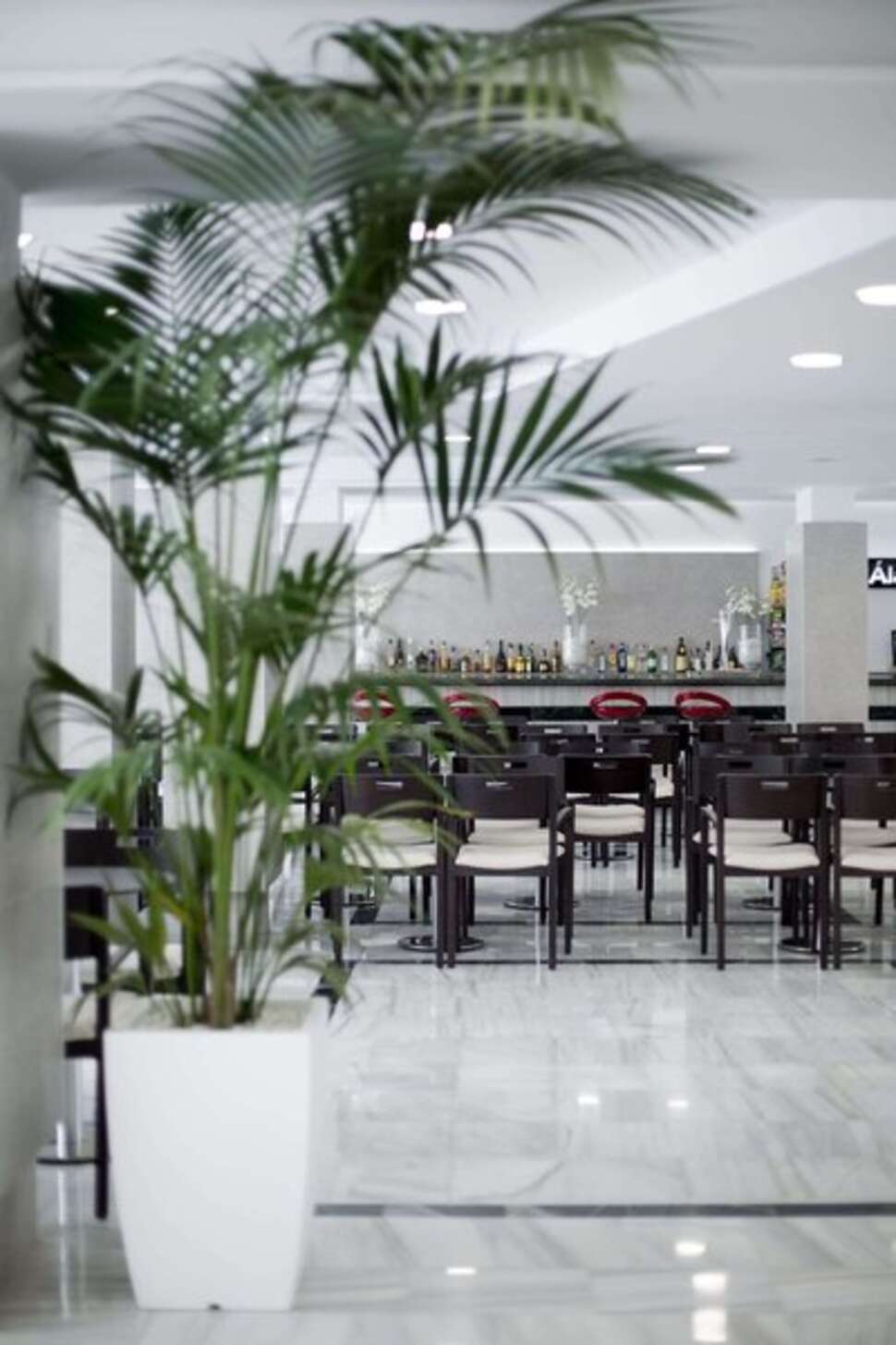 Een foto van de faciliteiten bij Hotel Los Alamos
