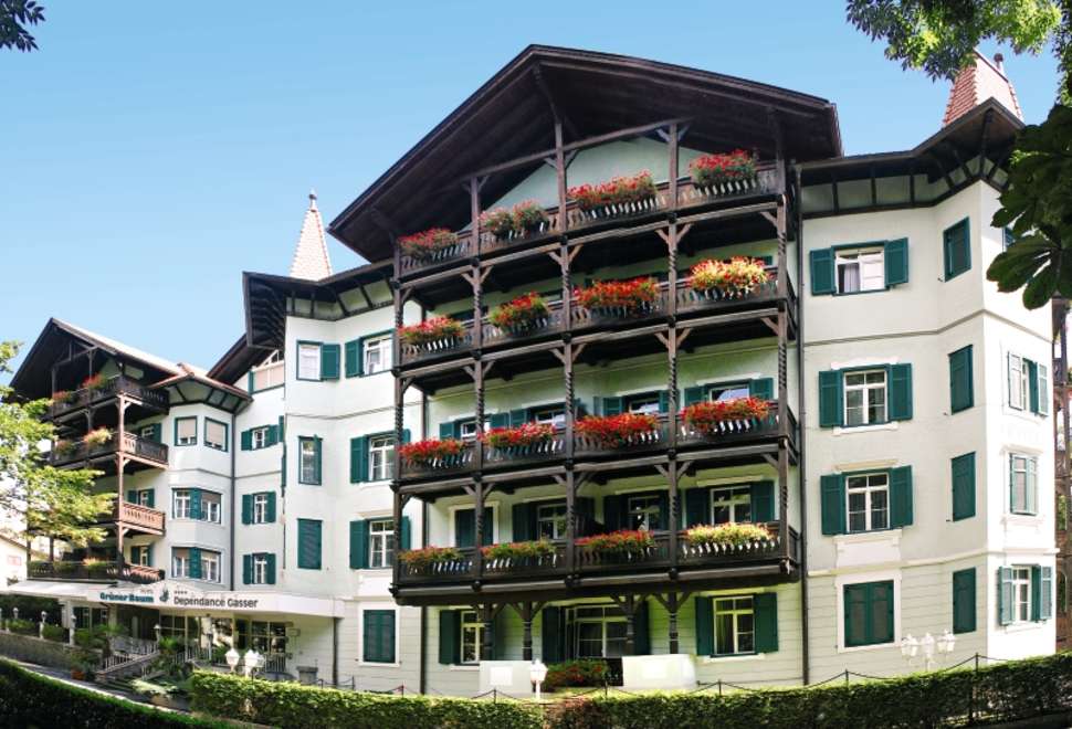 Een foto van Hotel Gruner Baum