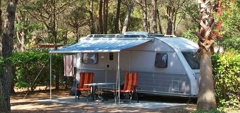 Een foto van Camping La Baume - La Palmeraie