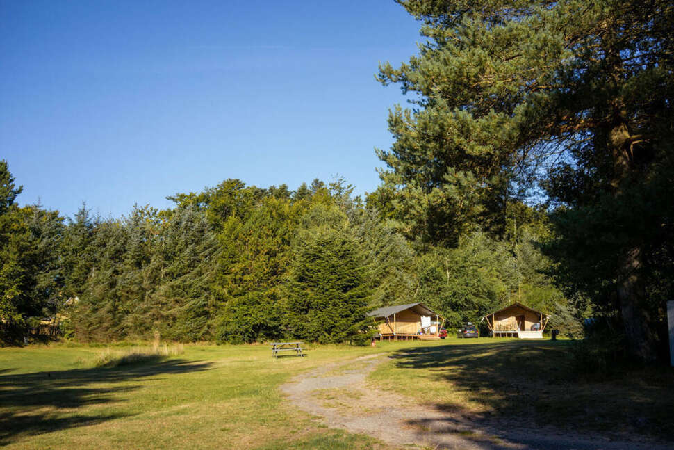 Een foto van Camping Tolne