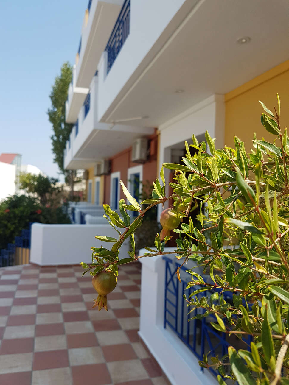 Een foto van Astra Village