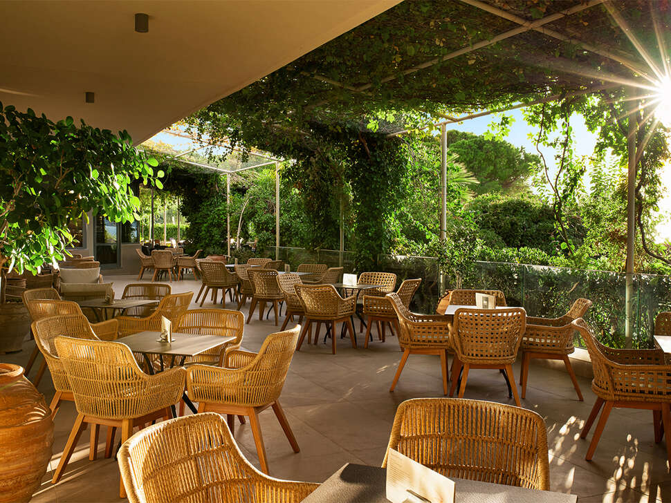 Een foto van Mediterranee Hotel