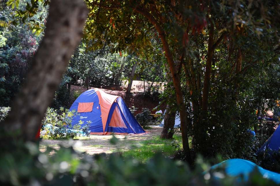Een foto van Camping Rosselba Le Palme