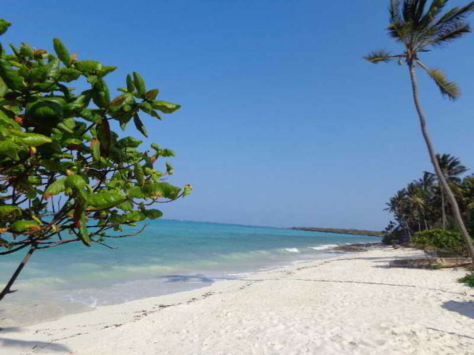 Een foto van het strand bij Reef & Beach Resort
