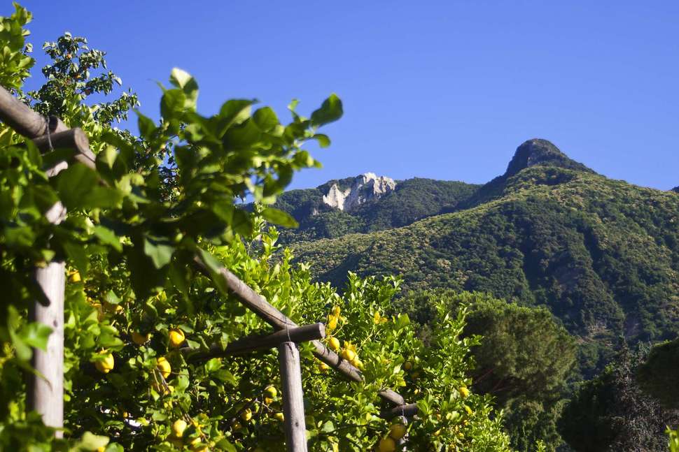 Ein Foto Hotel La Pergola & Villa Flavio